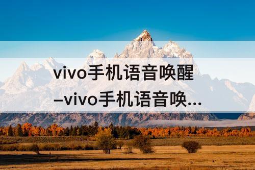 vivo手机语音唤醒-vivo手机语音唤醒小v