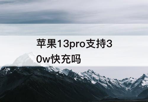 苹果13pro支持30w快充吗