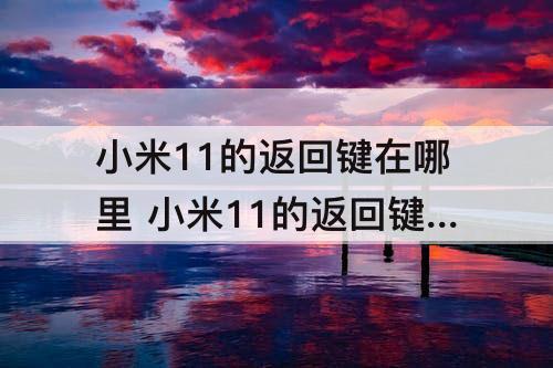 小米11的返回键在哪里 小米11的返回键在哪里设置