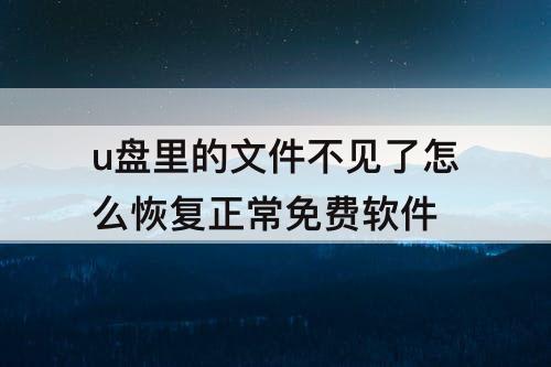 u盘里的文件不见了怎么恢复正常免费软件