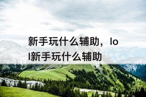 新手玩什么辅助，lol新手玩什么辅助