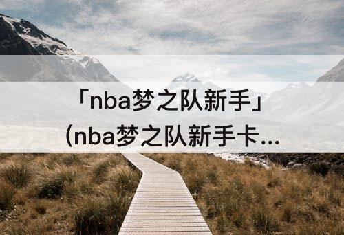 「nba梦之队新手」(nba梦之队新手卡)