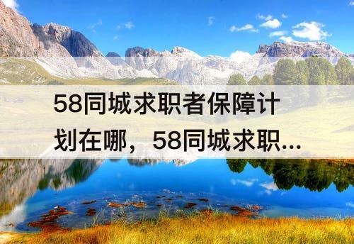 58同城求职者保障计划在哪，58同城求职者保障计划在哪里设置