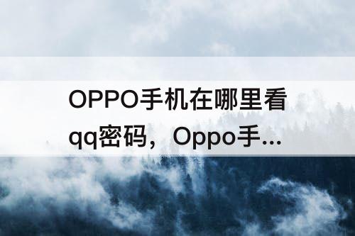 OPPO手机在哪里看qq密码，Oppo手机在哪里看qq密码？