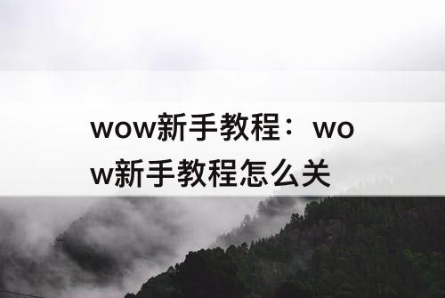 wow新手教程：wow新手教程怎么关