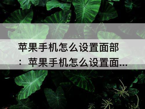 苹果手机怎么设置面部：苹果手机怎么设置面部解锁