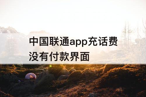 中国联通app充话费没有付款界面