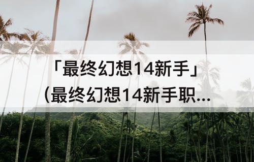 「最终幻想14新手」(最终幻想14新手职业那个是近战)