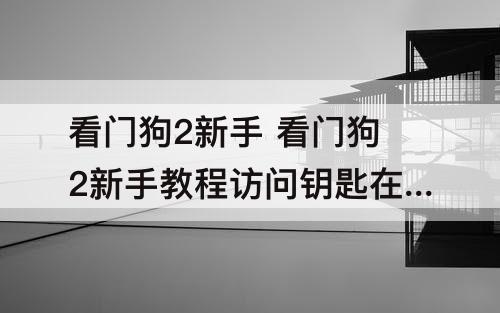 看门狗2新手 看门狗2新手教程访问钥匙在哪