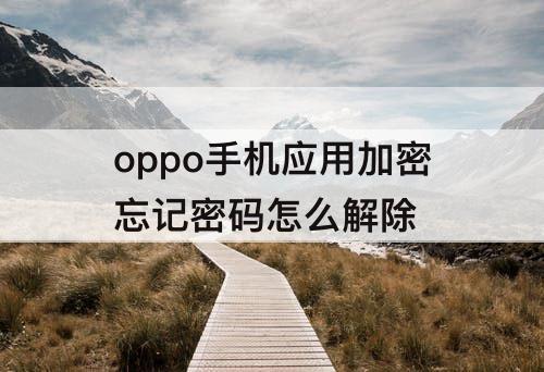 oppo手机应用加密忘记密码怎么解除