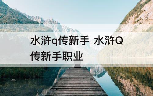 水浒q传新手 水浒Q传新手职业