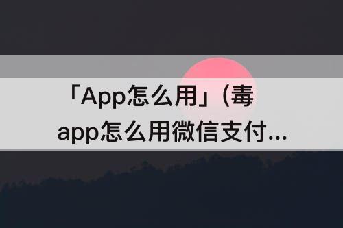 「App怎么用」(毒app怎么用微信支付)