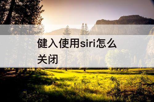 健入使用siri怎么关闭