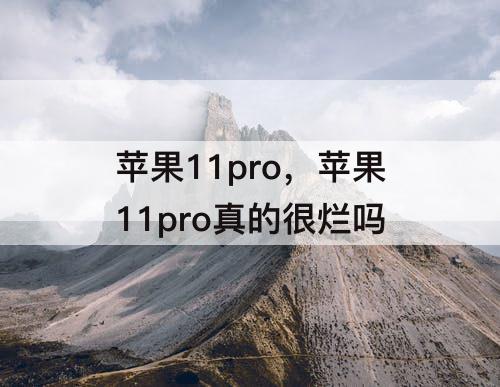 苹果11pro，苹果11pro真的很烂吗