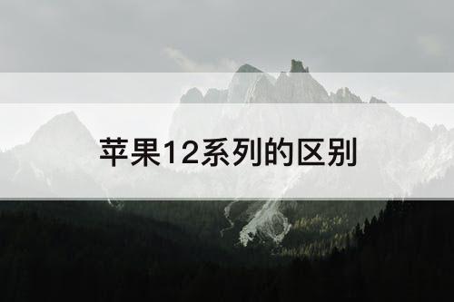 苹果12系列的区别