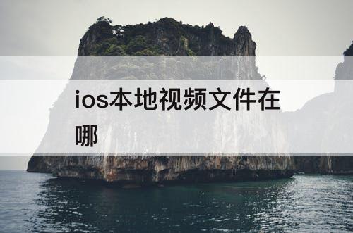 ios本地视频文件在哪