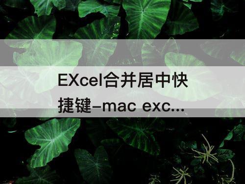 mac excel合并居中快捷键