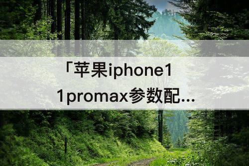 苹果iphone11promax参数配置和12