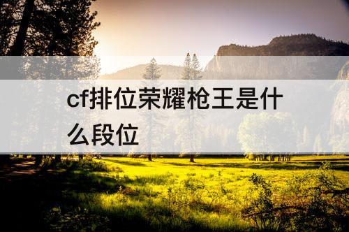 cf排位荣耀枪王是什么段位