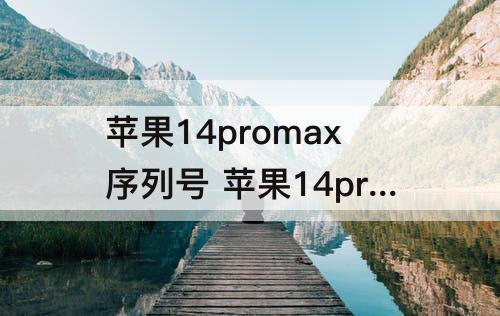 苹果14promax序列号 苹果14promax序列号H开头产地