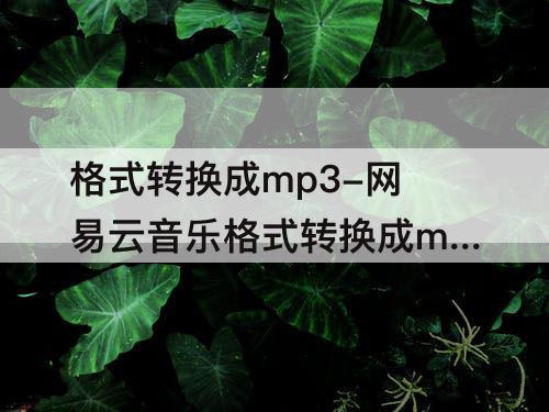 格式转换成mp3-网易云音乐格式转换成mp3