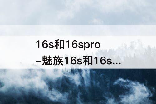 16s和16spro-魅族16s和16spro屏幕可以互换吗