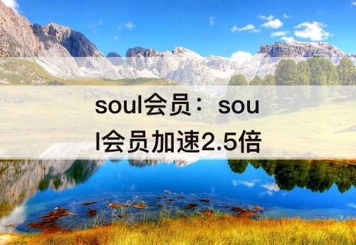 soul会员：soul会员加速2.5倍