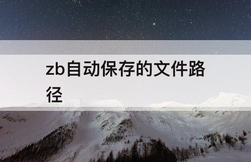 zb自动保存的文件路径