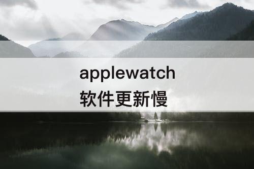 applewatch软件更新慢