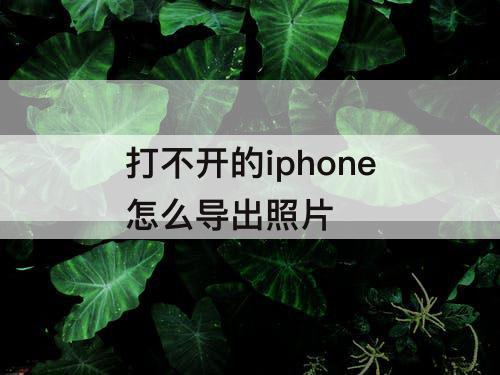 打不开的iphone怎么导出照片