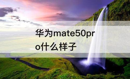 华为mate50pro什么样子