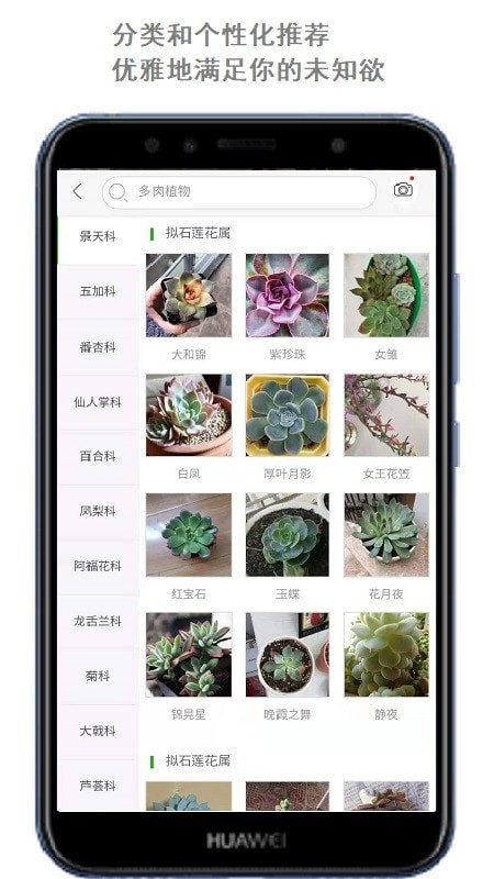 识花君拍照识别植物下载软件安装