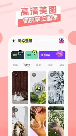 主题库精灵app手机版免费版手机版